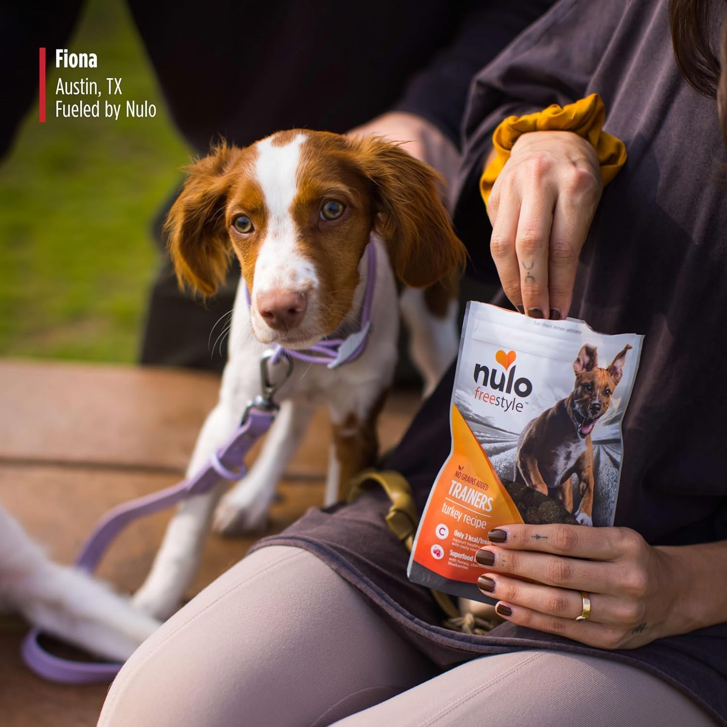 Freestyle Trainers Dog Treats: Grain Free Dog Training Treats - Healthy Low Calorie Treat Reward for Adult and Puppy Dogs - Gluten Free Dog Treat for Any Size or Breed - Duck Recipe - 4 Oz Bag